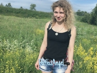 PerfectAngel