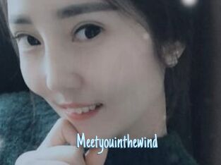 Meetyouinthewind