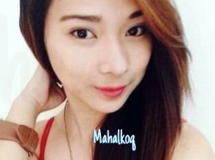 Mahalkoq