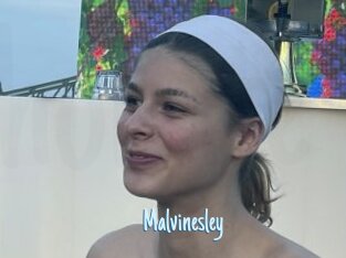 Malvinesley