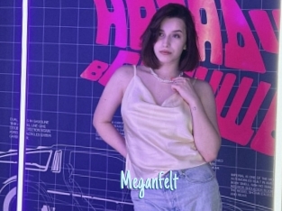Meganfelt