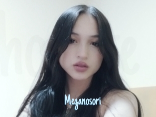 Meganosori