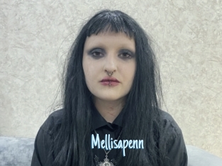 Mellisapenn