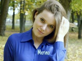 Merino