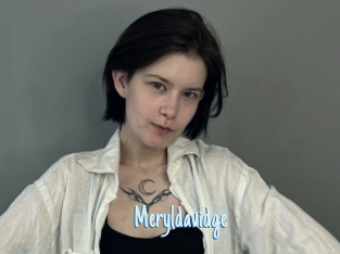 Meryldavidge