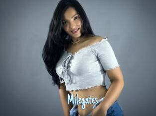 Milegates