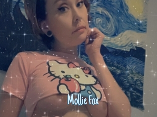 Mollie_fox