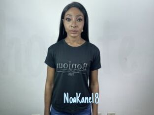 NoaKane18
