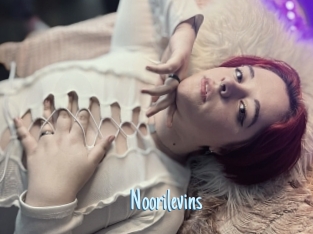 Noorilevins