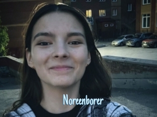 Noreenborer