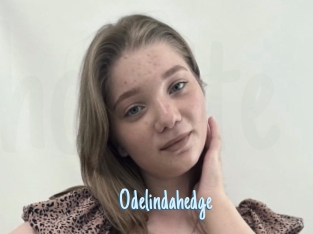 Odelindahedge