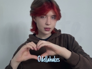 Odellahakes