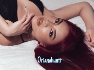 Orianahuntt