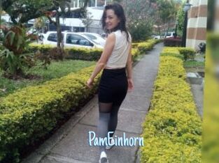 PamEinhorn