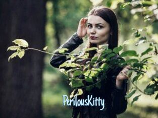Perilous_Kitty