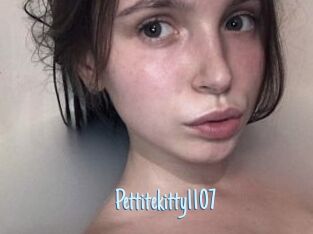 Pettitekitty1107