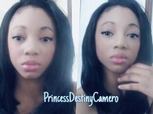 PrincessDestinyCamero