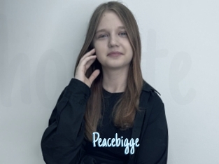 Peacebigge