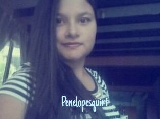 Penelopesquirt