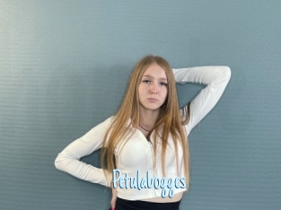 Petulabogges
