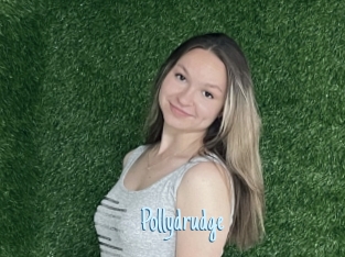 Pollydrudge
