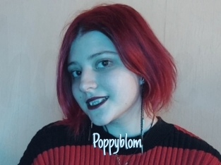 Poppyblom