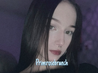 Primrosebranch