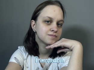 Primrosecarvin