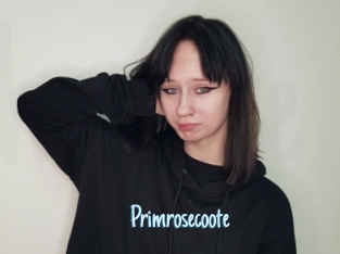 Primrosecoote