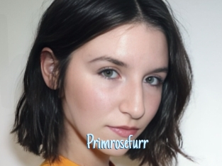 Primrosefurr