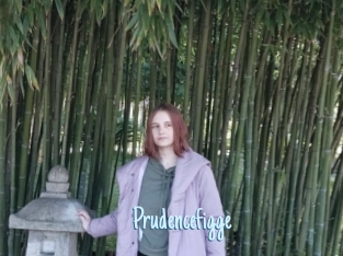 Prudencefigge