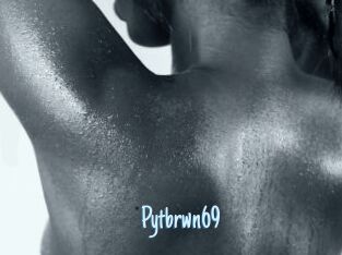 Pytbrwn69