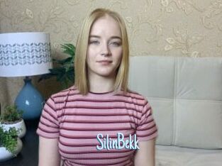 SilinBekk