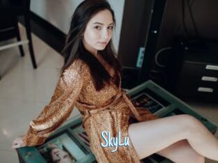 SkyLu