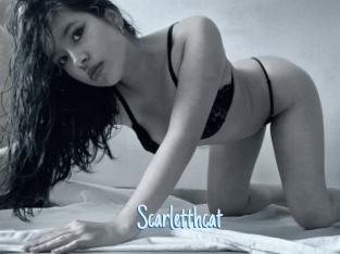 Scarletthcat