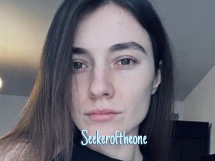 Seekeroftheone