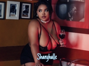 Shanyhalle