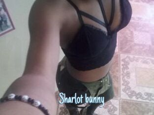 Sharlot_bunny