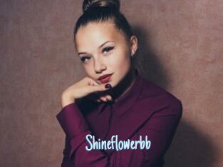 Shineflowerbb