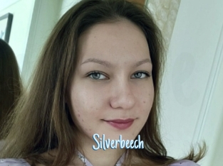 Silverbeech
