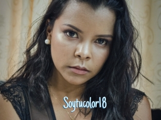 Soytucolor18