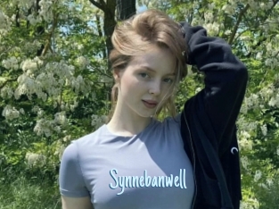 Synnebanwell