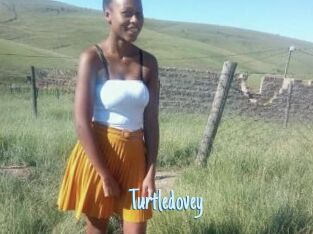 Turtledovey