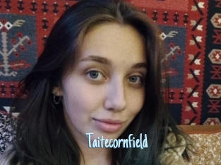 Taitecornfield
