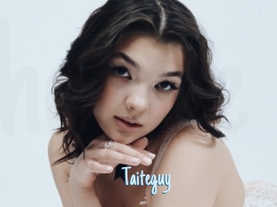 Taiteguy
