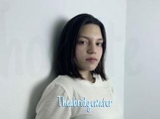 Theabridgewater
