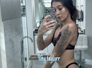 Tiny_taylorr