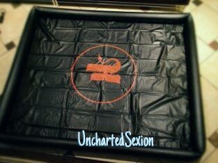UnchartedSexion