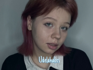 Udelahakes
