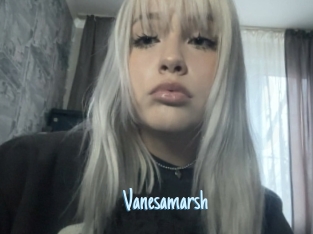 Vanesamarsh